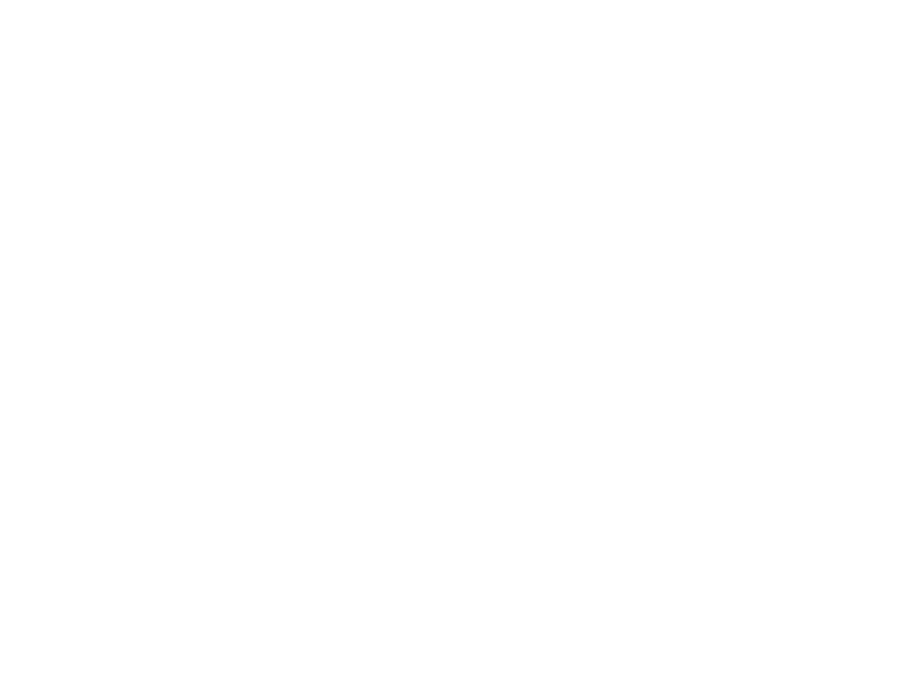 AluCongo